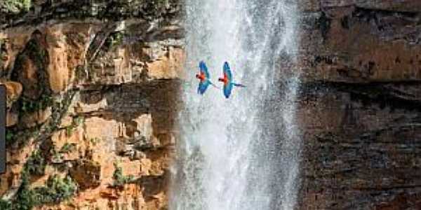 Chapada dos Guimares-MT-Casal de araras-vermelhas passando pela Cachoeira Vu de Noiva-Foto:Rodrigo Rascher