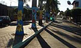 Guiratinga - Palmeiras pintadas na avenida em Guiratinga-Foto:th.arruda