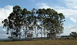 Itiquira - Itiquira por manoel dourado