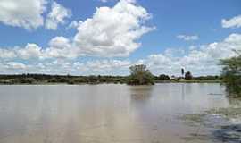 Brejo Novo - Brejo Novo-BA-Lagoa de Brejo Novo-Foto:boquiraemacao. 