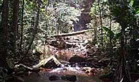 Nova Cana do Norte - Cachoeira 