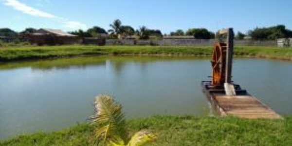 Lago - Chal, Por CLEONICE GOMES DA SILVA MAYNART