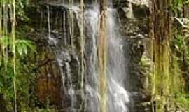 Novo Mundo - Cachoeira-Foto:Renato Fernandes de  