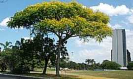 Primavera do Leste - 