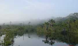 Querncia - Querncia-MT-Rio Darro prximo  nascente-Foto:xyko