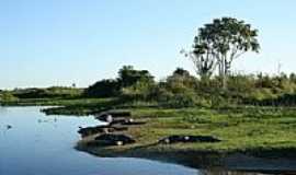 Rosrio Oeste - Parque Estadual guas do Cuiab