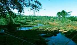 Santo Afonso - Fazenda Tamandu-Foto:Cavalar Walter Edson ...