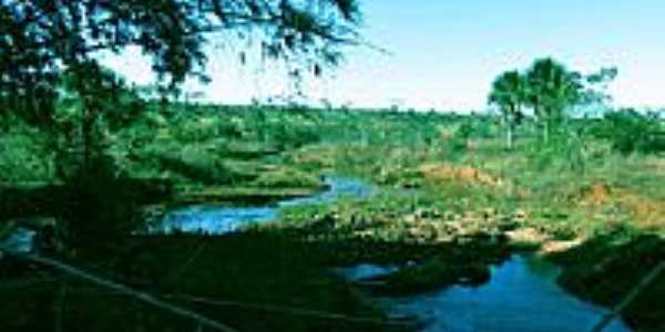 Fazenda Tamandu-Foto:Cavalar Walter Edson ...