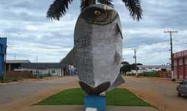 So Jos do Rio Claro - So Jos do Rio Claro-MT-Monumento ao peixe Matrinx,comum na regio-Foto:Manoel Francisco dos Santo