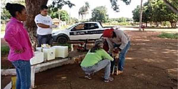 Localidade de Selma distrito de Jaciara MT