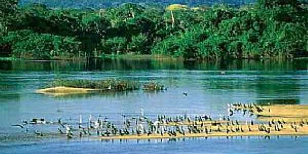 Imagens da cidade de Vila Bela da Santssima Trindade - MT