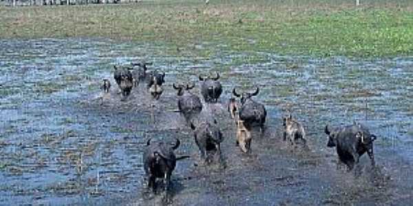 Imagens da cidade de Vila Bela da Santssima Trindade - MT