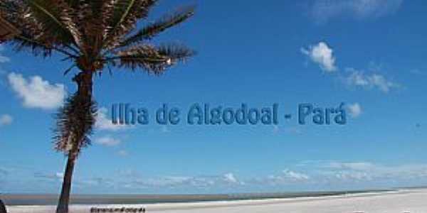 Ilha de Algodoal - PA