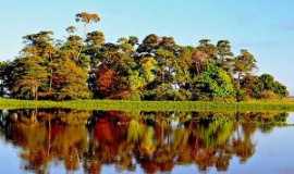 Alter do Cho - canal do jar. rio amazonas., Por Claudio Chena