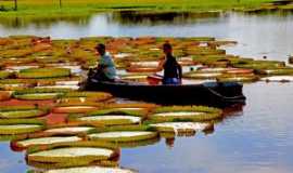 Alter do Cho - Canal do Jar. Amazonas., Por Claudio Chena