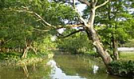 Belm - Rio Tucunduba em Belm-PA-Foto:Odilson S