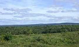 Cacul - Cacul-BA-Caatinga Verde-Foto:Rafael Jos Rorato
