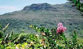 Caet-Au - Flor na rua principal de Caet-A com a Serra da Larguinha ao fundo por Duda Borges