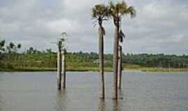 Concrdia do Par - Concrdia do Par-PA-Lago artificial reservatrio-Foto:PEDRO PAULO