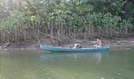 Curuambaba - 