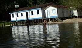 Curuambaba - 