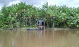 Igarap-Miri - casa ribeirinha , Por edio nascimento