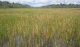 Igarap-Miri - charco da sucur, Por edio nascimento