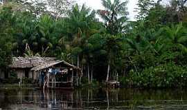 Itatup - Itatup-PA-Casas de Palafita s margens do Rio Gurup-Foto:www.hileiaamazonica.com.br