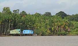 Itatup - Itatup-PA-Casas de Palafita s margens do Rio Gurup-Foto:cienciahoje.uol.com.br