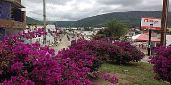 Imagem da cidade de Jaguarari-PA