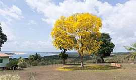 Marab - Imagens da cidade de Marab - PA