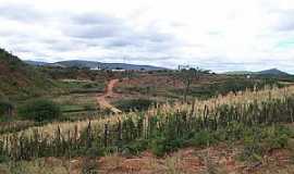 Caldeiro - Caldeiro-BA-Vista da cidade-Foto:nandimdoacordeon