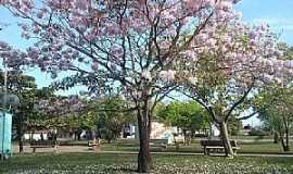 Morada Nova - Imagem da cidade de Morada Nova - PA