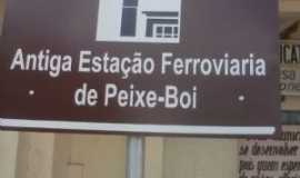 Peixe-Boi - Por Jos Carlos Rodrigues de Mendona