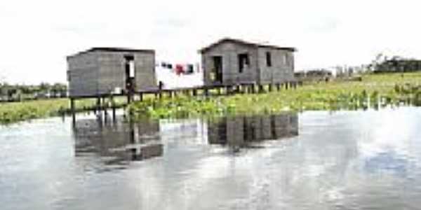 Palafitas no Rio Aquiqui em Porto de Moz-PA-Foto:Cimicidio