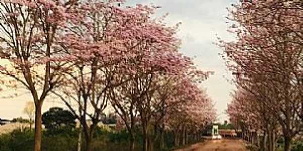 Imagem da cidade de Rio Vermelho-PA