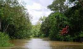 Santa Brbara do Par - Rio na Vila de Genipaba-Foto:Odilson S 