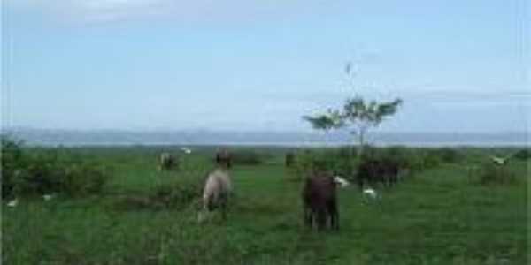 Campos Marajara...Santa Cruz do Arar, Por Kleyton pereira leal