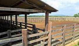 Santa Maria das Barreiras - Fazenda em Santa Maria das Barreiras-Foto:urbanosefazendas.