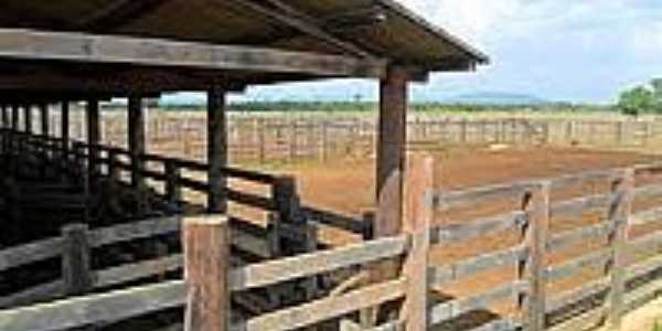 Fazenda em Santa Maria das Barreiras-Foto:urbanosefazendas.