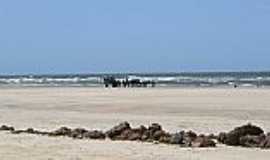 Soure - Soure-PA-Bfalos na Praia do Pesqueiro-Foto:niani