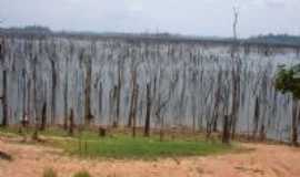 Tucuru - o lago no perodo da seca, Por EVANDRO V. FEPE