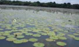 Tucuru -  barragem, Por EVANDRO V. FEPE