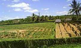 Canarana - Fazenda em Canarana-BA-Foto:MMAlencar