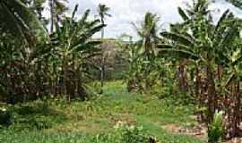 Alhandra - Paisagem da Casa de Farinha em Alhandra-PB-Foto:Jair Italobrasil