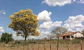 Canch - rea rural de Canch-BA-Foto:Adriano_Rodrigo