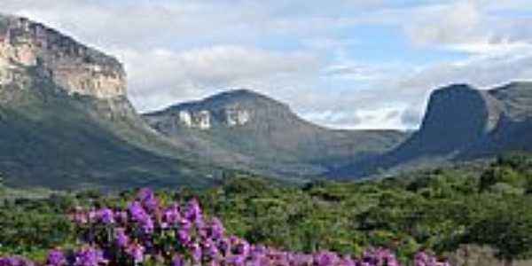 Flores e o Morro em Capo-BA-Foto:danielschnitzer