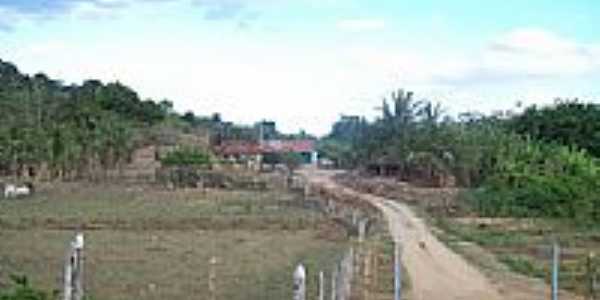 Estrada na zona rural da Vila Maia-Foto:giovanetio