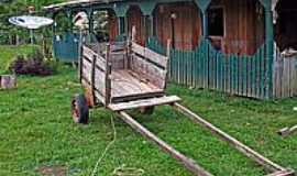 Capixaba - Zona rural Capixaba-Foto:JEZAFLU=ACRE=BRASIL