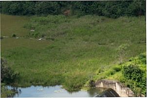 Atual estado da barragem de natuba pb, Por messias